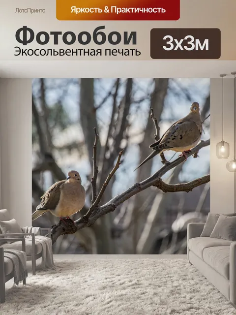 Фотообои Пара траурных голубей на ветке