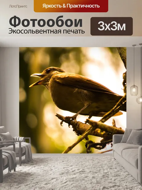 Фотообои Тропическая птица