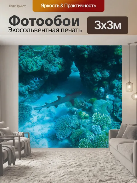 Фотообои Акула