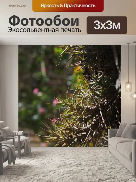Фотообои эпифитное растение в солнечном свете