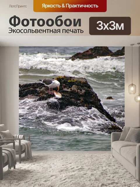 Фотообои чайка