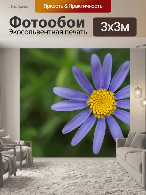 Фотообои Фиолетовые цветы