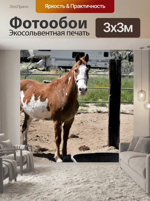 Фотообои Конный спорт