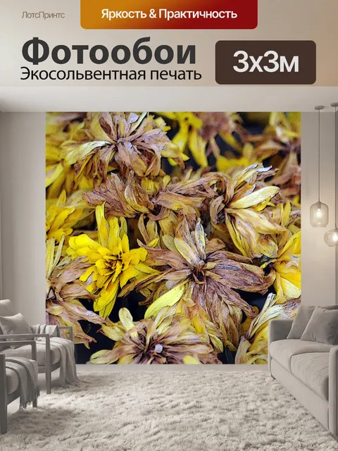 Фотообои Увядание Желтые Мамы