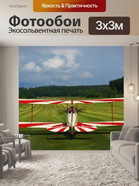 Фотообои Спортивный самолет