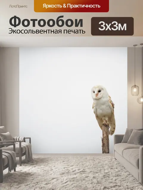 Фотообои Птица