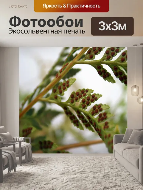 Фотообои спор папоротников
