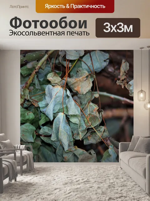 Фотообои рассыпчатый мертвые листья