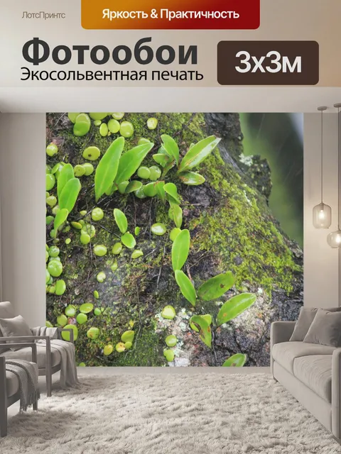 Фотообои растения в стволовые