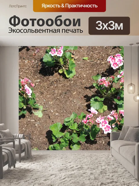 Фотообои красивые цветы