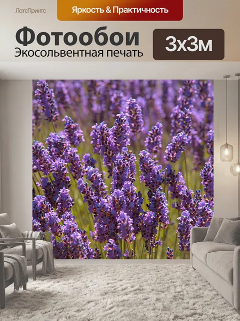 Фотообои Цветы лаванды цветут полевые цветы