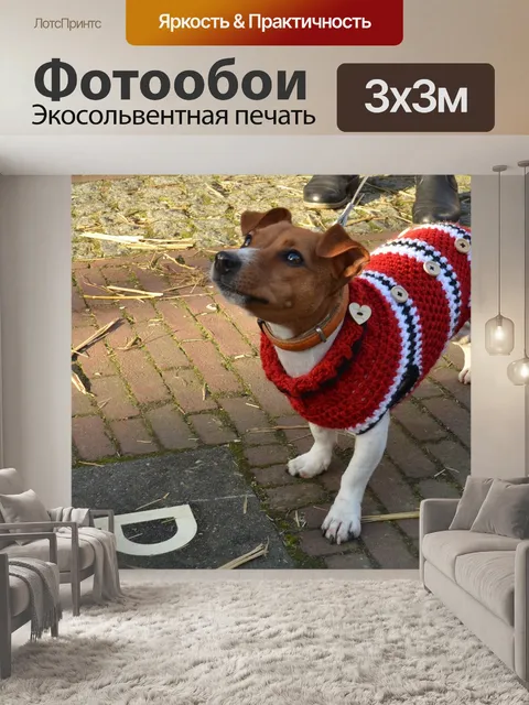 Фотообои Собака