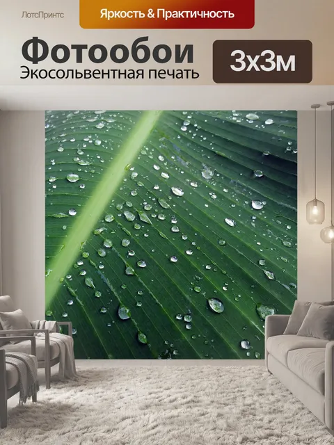 Фотообои Банановые листья после дождя