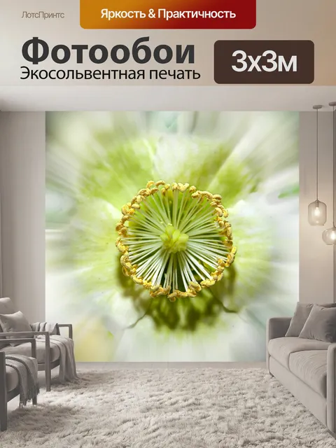 Фотообои Helleborus