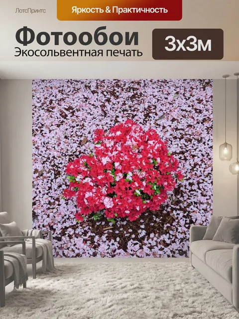 Фотообои Розовый