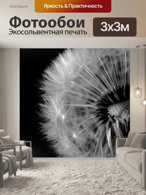 Фотообои Одуванчик на черном фоне