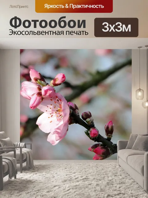 Фотообои Цветок миндаля