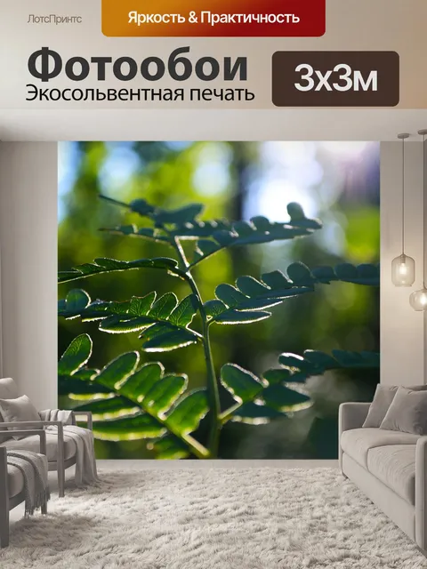 Фотообои Утро