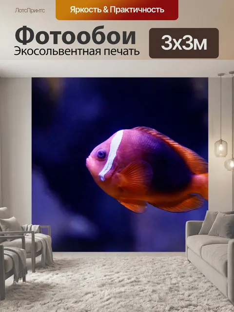 Фотообои розовый клоун Skunk