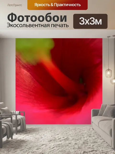 Фотообои Цветочный макрос 7