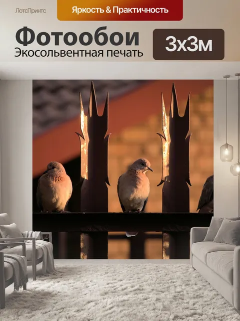 Фотообои Голуби