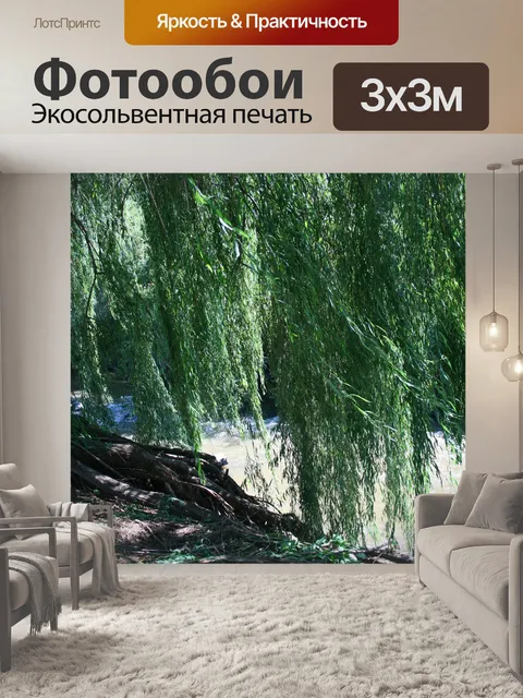 Фотообои ивы над рекой