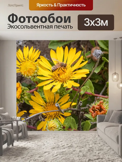 Фотообои Пчела на желтом цветочном баннере