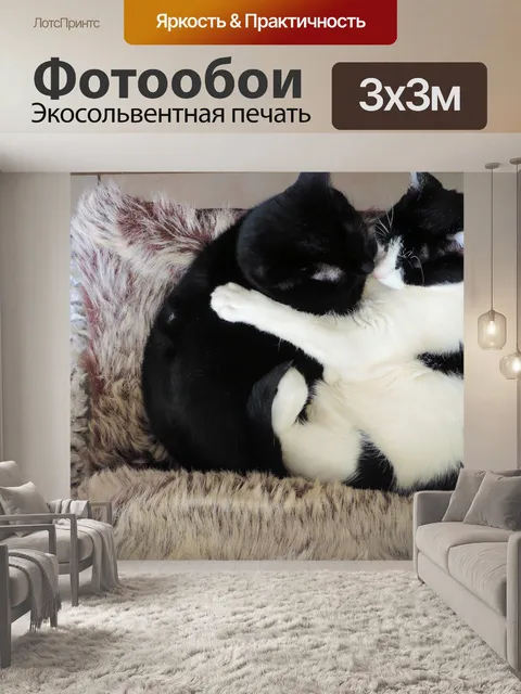 Фотообои Cat любовь