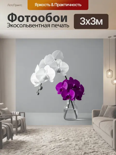 Фотообои Белые и фиолетовые орхидеи