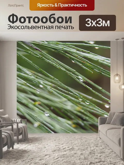 Фотообои Капли