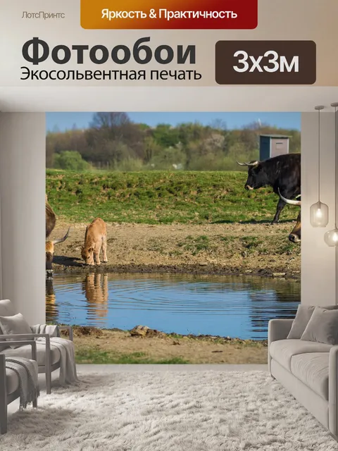 Фотообои Задний говяжья