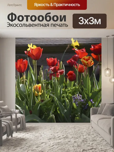 Фотообои Красные тюльпаны