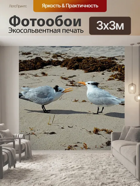 Фотообои Birds
