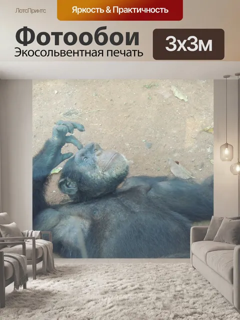 Фотообои мышления обезьяну