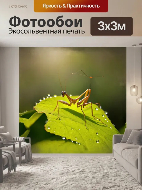 Фотообои богомол, величественно сидящий на ярко-зеленом листе, обрамленном тонкими каплями росы