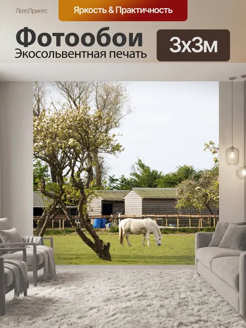 Фотообои Белая лошадь