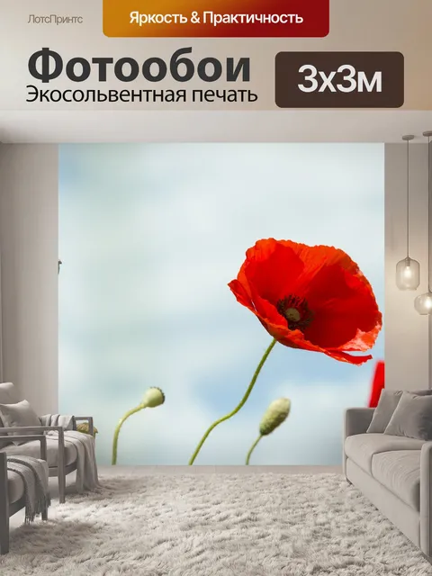 Фотообои Красный мак
