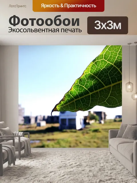 Фотообои Путешествовать