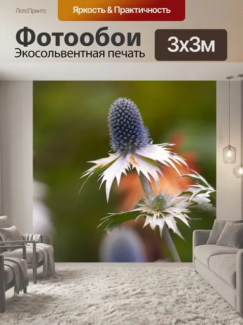 Фотообои Море Холли Макро