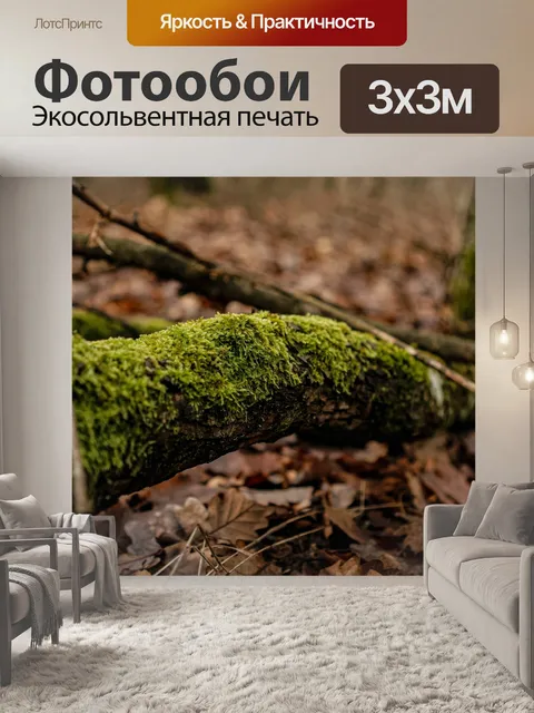Фотообои Мох