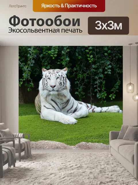 Фотообои Белый бенгальский тигр