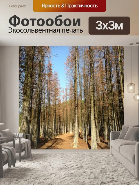 Фотообои Мангровый лес