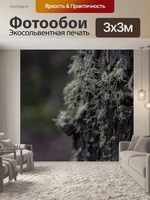 Фотообои Мох, растущий на дереве