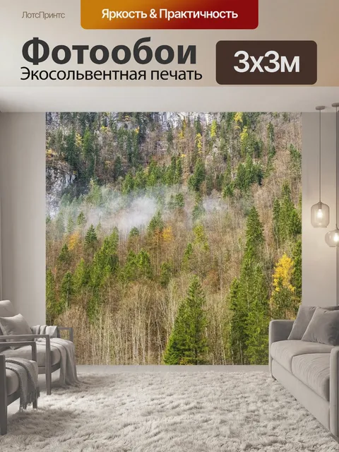 Фотообои Лес
