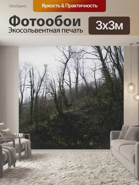 Фотообои Лес