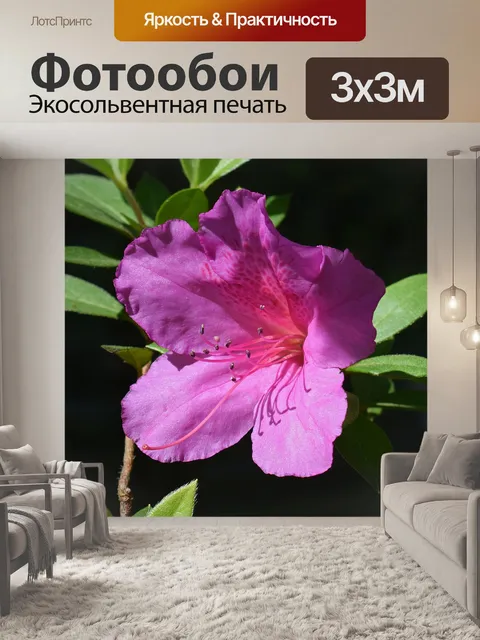 Фотообои Горячая розовая азалия