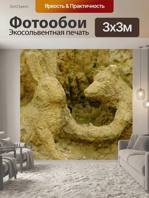 Фотообои Кролик