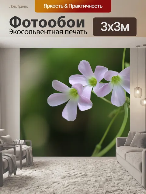 Фотообои Фиолетовый