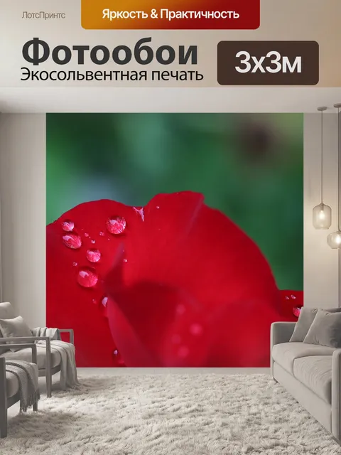 Фотообои Капли дождя