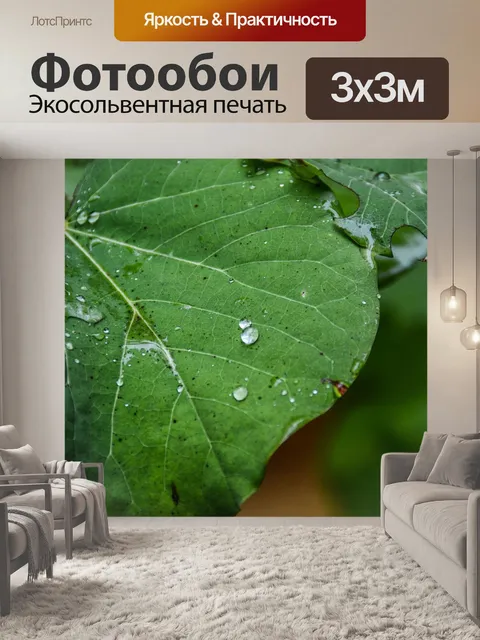 Фотообои Природа